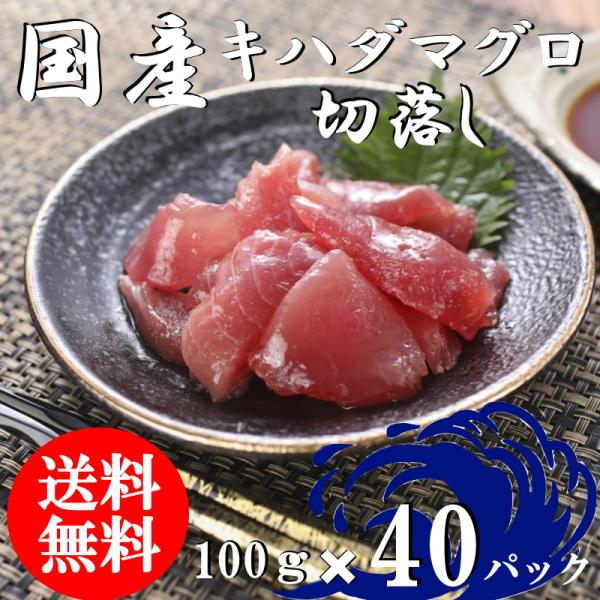 （送料無料）国産マグロ切落し（上）　100ｇ×40パックセット　キハダマグロ　配送不可地域あり　きは...