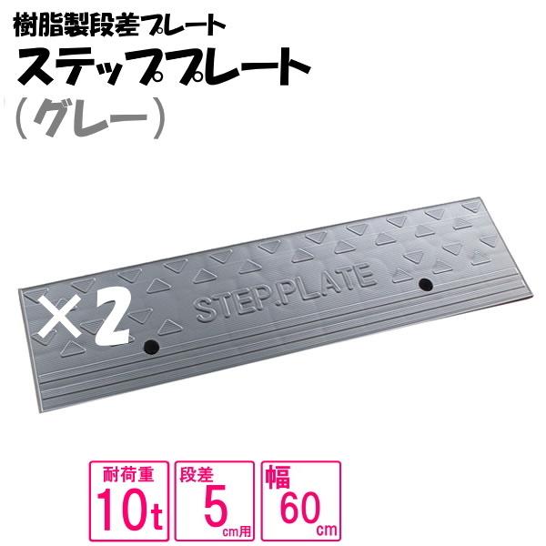 （送料無料） セット販売 樹脂製段差プレート ステッププレート  段差5cm用　幅120cm対応 耐...