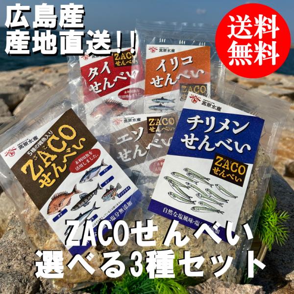 （送料無料）ZACOせんべい　選べる３袋セット　タイ　アジ　エソ　サワラ　テンジクダイ　ちりめん　イ...