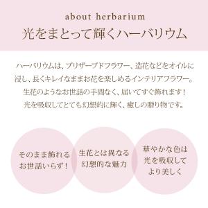 母の日 2026 ハーバリウム 丸瓶 / プレ...の詳細画像1