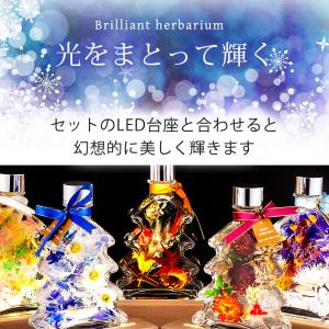 2026 ツリー ハーバリウム ツリー / ギ...の詳細画像3