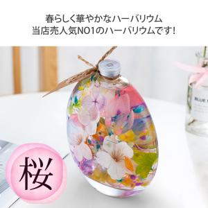 福袋 2024 ハーバリウム 桜 丸瓶 エコバ...の詳細画像2