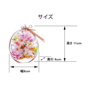 福袋 2024 ハーバリウム 桜 丸瓶 エコバ...の詳細画像3