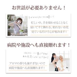 2026 ソープフラワー 花封筒 / プレゼン...の詳細画像2