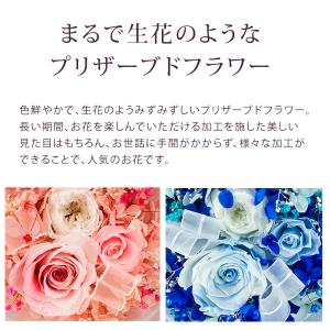 母の日 2026 LEDプリザーブドフラワー ...の詳細画像1