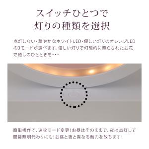 母の日 2026 LEDプリザーブドフラワー ...の詳細画像2