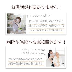 2026 花とお菓子 スイーツ ラッピング 付...の詳細画像2