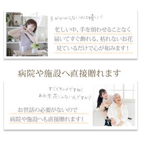 ソープフラワー 一輪 バラ 10本セット / ...の詳細画像3