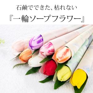 予約可 卒業式 卒園式 卒業 1輪 ソープフラ...の詳細画像1