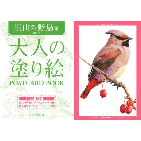 大人の塗り絵 POSTCARD BOOK 里山の野鳥編 はがき ぬりえ ポストカード 人気 楽しい ...