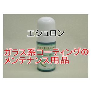 エシュロンシャンプー100ml 1本｜springwood