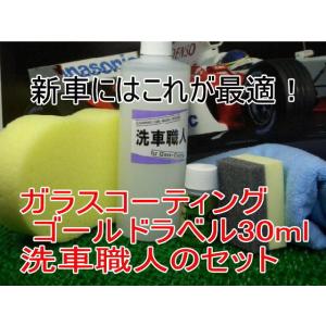 Plexus (プレクサス) 368ml 正規品 業販12本セット : TDparts - 通販