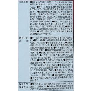 GC (ゴールデンクルーザー)ホイールコート剤...の詳細画像2