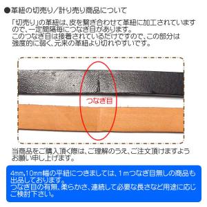 革紐 本革 幅4mmX厚さ2mm 平紐 1m単...の詳細画像4