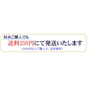 ネックレス チェーン 金属アレルギー対応 ステ...の詳細画像5