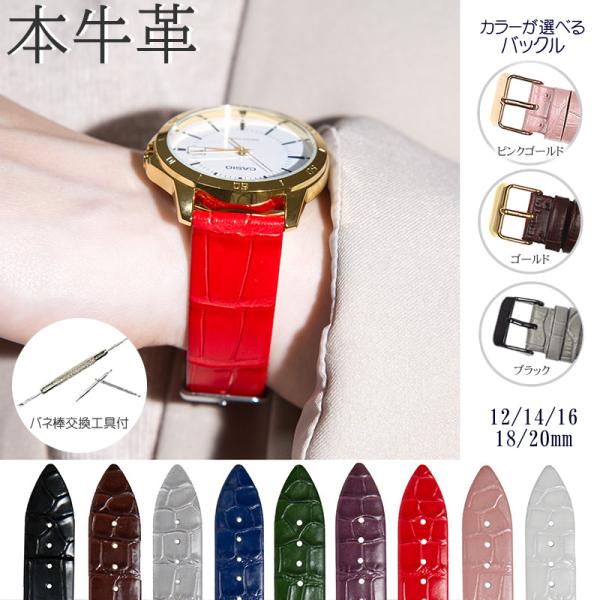 腕時計ベルト 本革 牛革 クロコ型押し 薄め バネ棒・交換工具付 時計バンド 12mm 14mm 1...