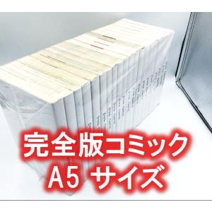 完全版(A5)サイズ約20冊用　スプラータ　20枚入り｜spularta