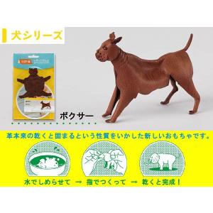 アニマルプラネット 恐竜の商品一覧 通販 Yahoo ショッピング