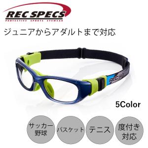 SWANS（スワンズ） スポーツメガネ GUARDIAN-X GDX-001 抗菌 大人用