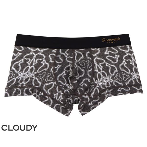 ローライズ メンズ ASOMDWE アンダーウェア グレイブボールト Gravevault