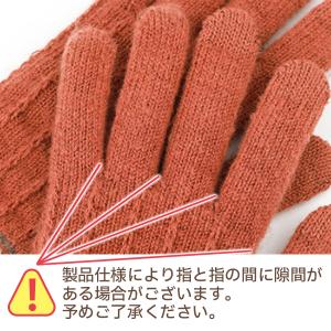 手袋 レディース スマホ操作 スマホ対応 裏地...の詳細画像5