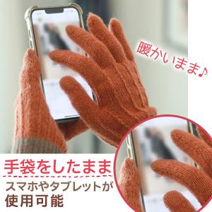 手袋 レディース スマホ操作 スマホ対応 裏地...の詳細画像1