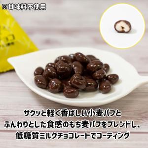 チョコスナック ロカボ もち麦チョコ 75g ...の詳細画像3
