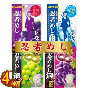 UHA味覚糖 忍者めし 巨峰味 20g×10袋 : おかげさまマーケット - 通販