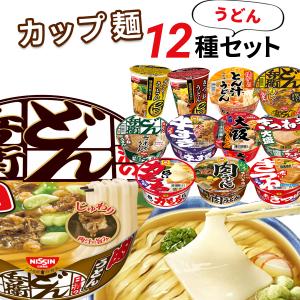 カップ麺 箱買い 安い インスタント カップうどん 12種 まとめ買い 日清 どん兵衛｜ギフトのお店ロワ