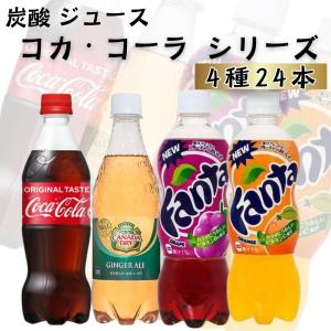 ソフトドリンク 24本 ジュース 箱買い 炭酸 ...の商品画像