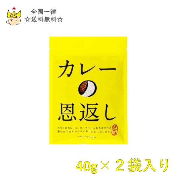 調味料 香辛料 ほぼ日 カレーの恩返し カレー スパイスミックス 40g 2袋