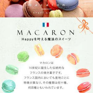 マカロン 2個入 ギフト 退職 異動 挨拶 お...の詳細画像1