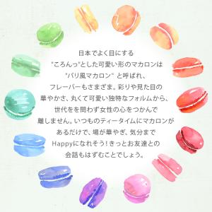 マカロン 2個入 ギフト 退職 異動 挨拶 お...の詳細画像2