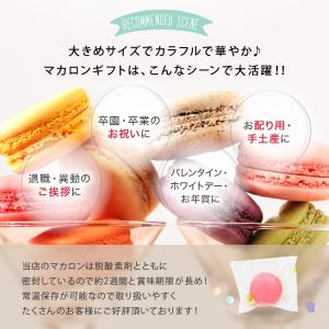 マカロン 2個入 ギフト 退職 異動 挨拶 お...の詳細画像4