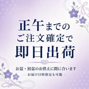 お供え かご盛り 8個入 お菓子 お供え物 御...の詳細画像1