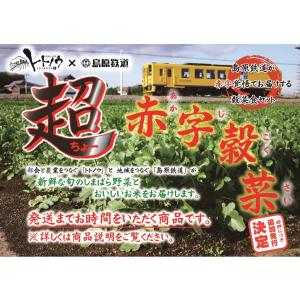 “超” 赤字穀菜 ／ ちょー あかじこくさい　★島鉄（しまてつ）島原鉄道グッズ★