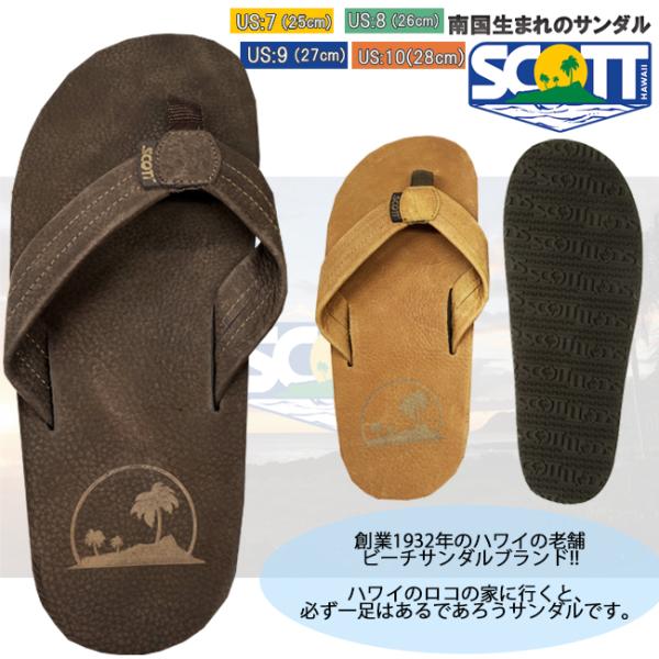 ビーチサンダル サンダル 男女兼用 ユニセックス レディース メンズ SCOTT　HAWAII　スコ...