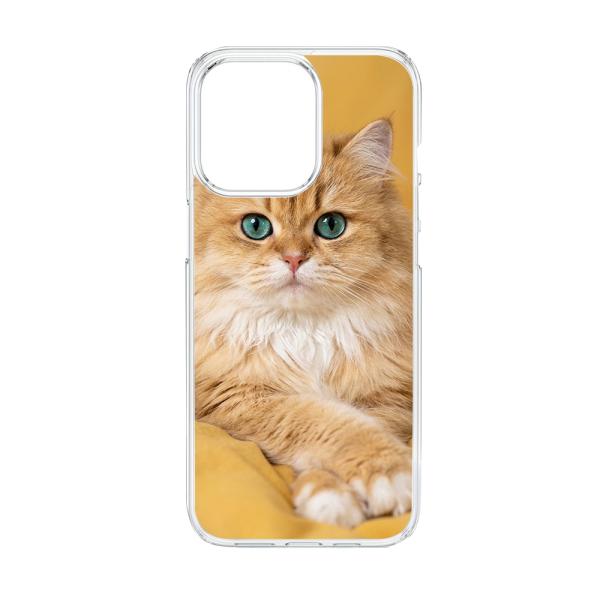 AQUOS R7 SH-52C クリア ハードケース (ラグドールねこ) ねこ柄 アニマル