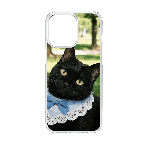 AQUOS R8 SH-52D クリア ハードケース (可愛ぶる黒猫) ねこ柄 癒し系 リボン 動物...