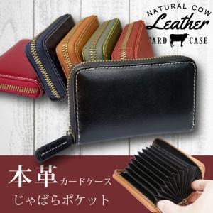 コンチョ付きカードケース 大容量 本革 カード入れ レザー メンズ
