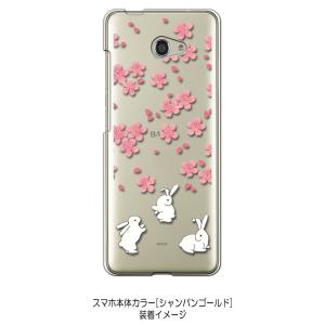 かんたんスマホ2 A001KC/BASIO4 ...の詳細画像2