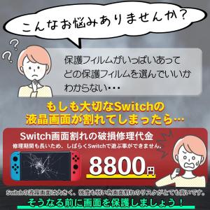任天堂 Nintendo Switch 保護フ...の詳細画像1