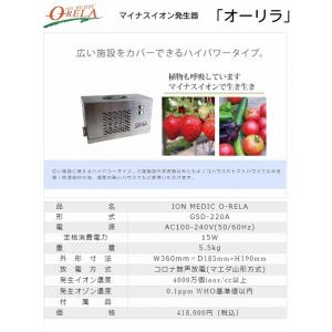 イオンメディック オーリラ GSD-220A ...の詳細画像2
