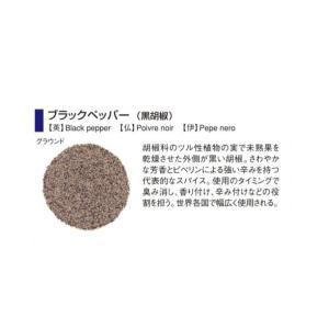 GABAN（ギャバン）　ブラックペッパー　20g　小袋　グラウンド