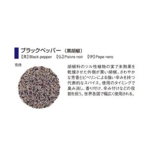 GABAN（ギャバン）　ブラックペッパー　20g　荒挽　小袋