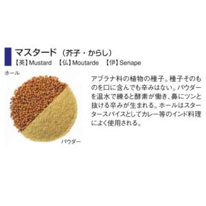 GABAN（ギャバン）　マスタードシード　100g　ホール　袋