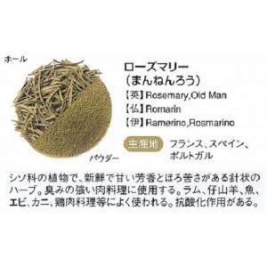 GABAN(ギャバン) ローズマリー 100g...の詳細画像1