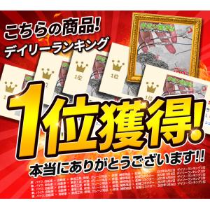 ギボシ端子 セット オス メス 100セット ...の詳細画像1