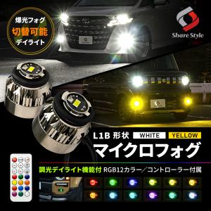 RAV4 50系 LEDフォグランプ デイライト/ウィンカー 2色切替 セット シェアスタイル RAV4 50系 LED 仕様車 専用 高輝度 2色切替 バイカラー