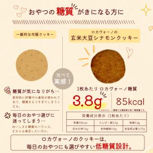 【新商品】ヴィーガン・グルテンフリー 玄米大豆...の詳細画像3